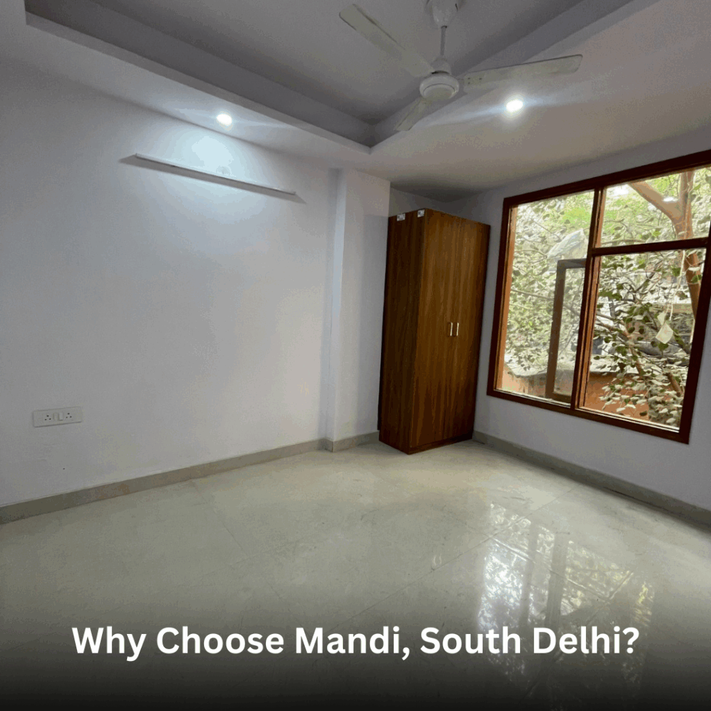 Why Choose Mandi, South Delhi?